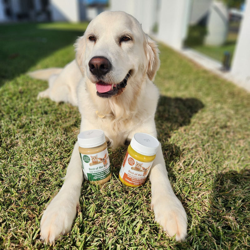 Healthy Pets