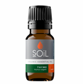Soil - Organic Thyme Essential Oil