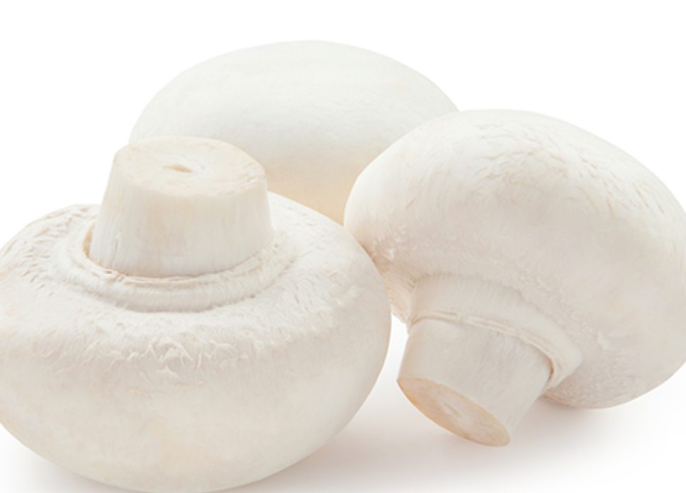 Mushroom - Button