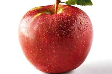 Apples - Fuji