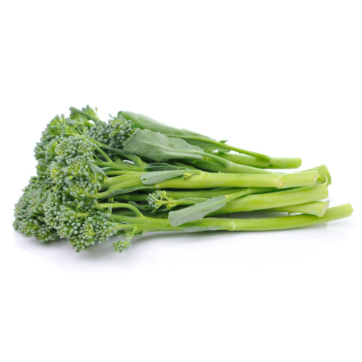 Baby Broccoli Bunch
