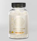 Apollo - Lions Mane Gummies 60pk