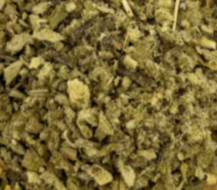 Healing Concepts - Organic Mullein Tea 40g