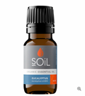 Soil - Organic Eucalyptus Essential Oil