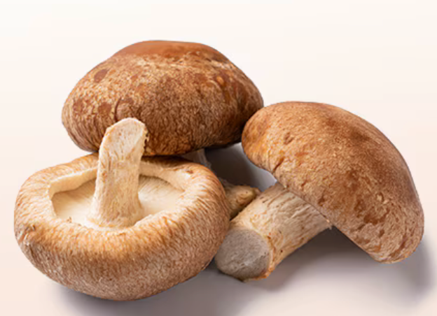 Mushroom - Shitake