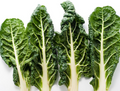Silverbeet Bunch
