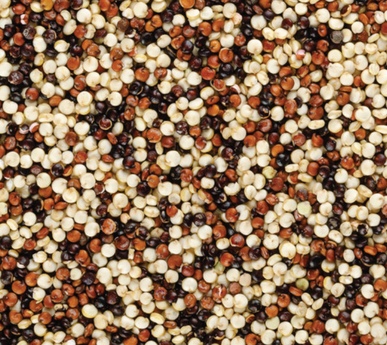 Bulk Tricolour Quinoa