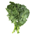 Kale