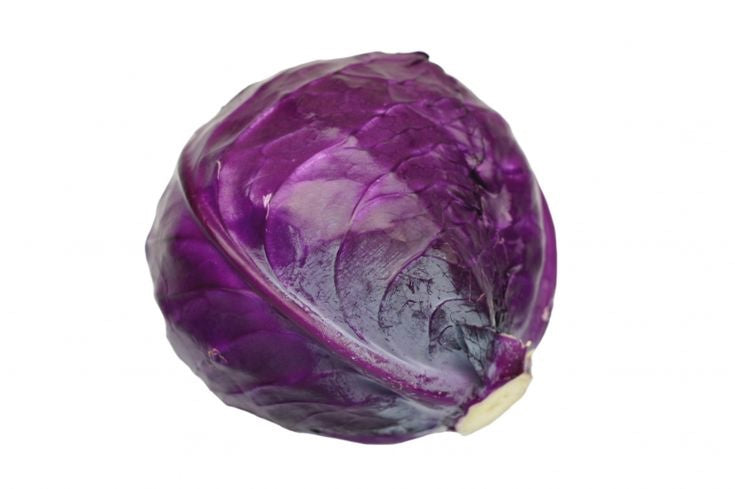 Cabbage Purple