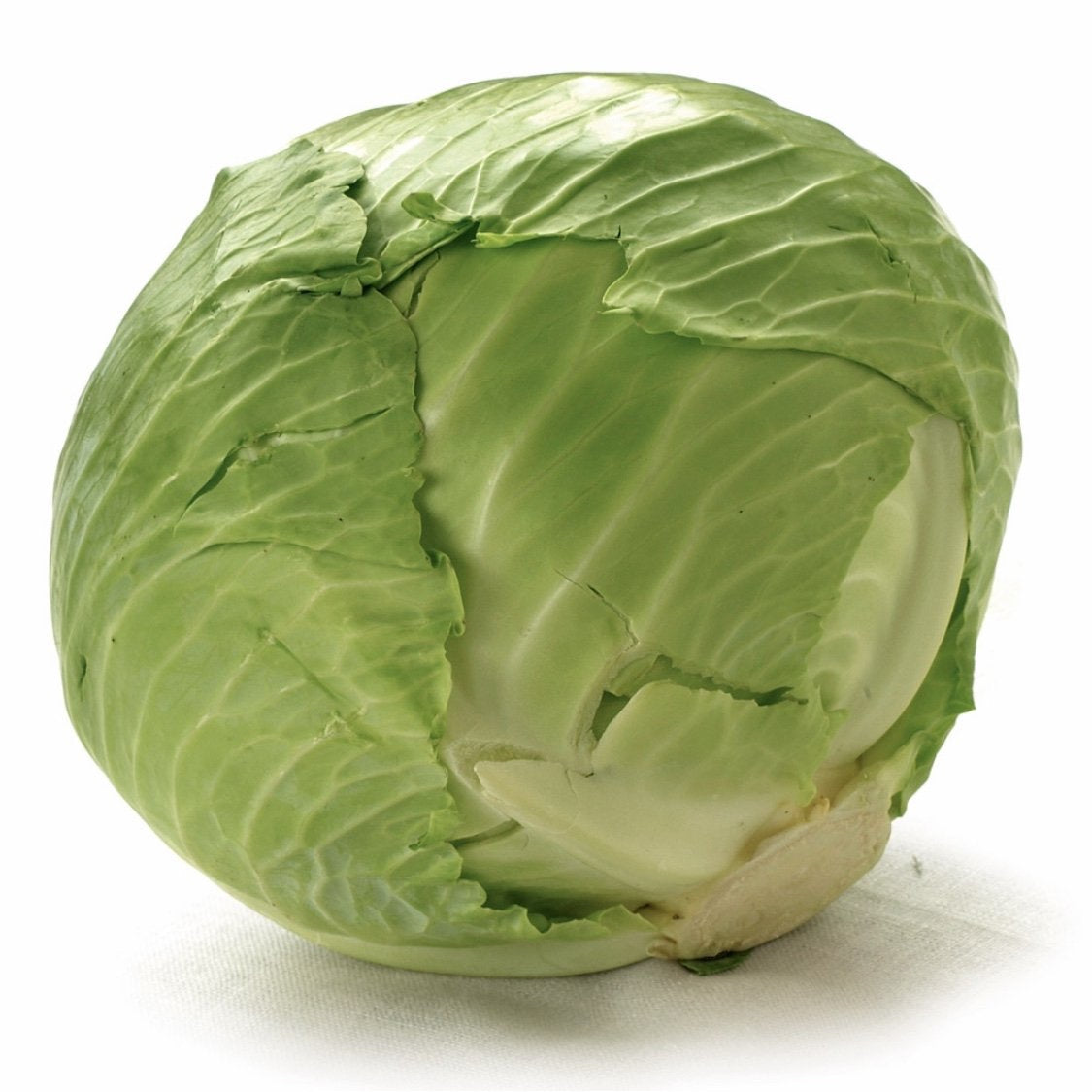 Cabbage Drum