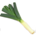 Leek - Individual