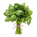 Herb Bunch