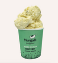 Mungalli - Mint Choc Chip Ice Cream 475ml