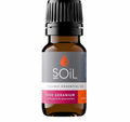 Soil - Organic Bergamot Essential Oil