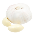 Garlic - Russian