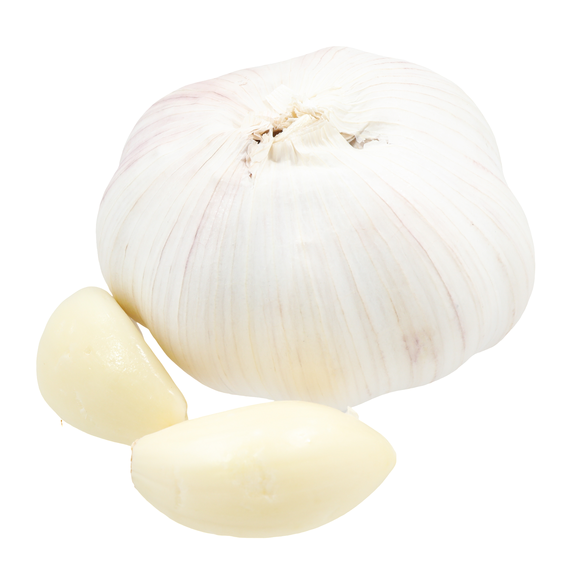 Garlic - Russian