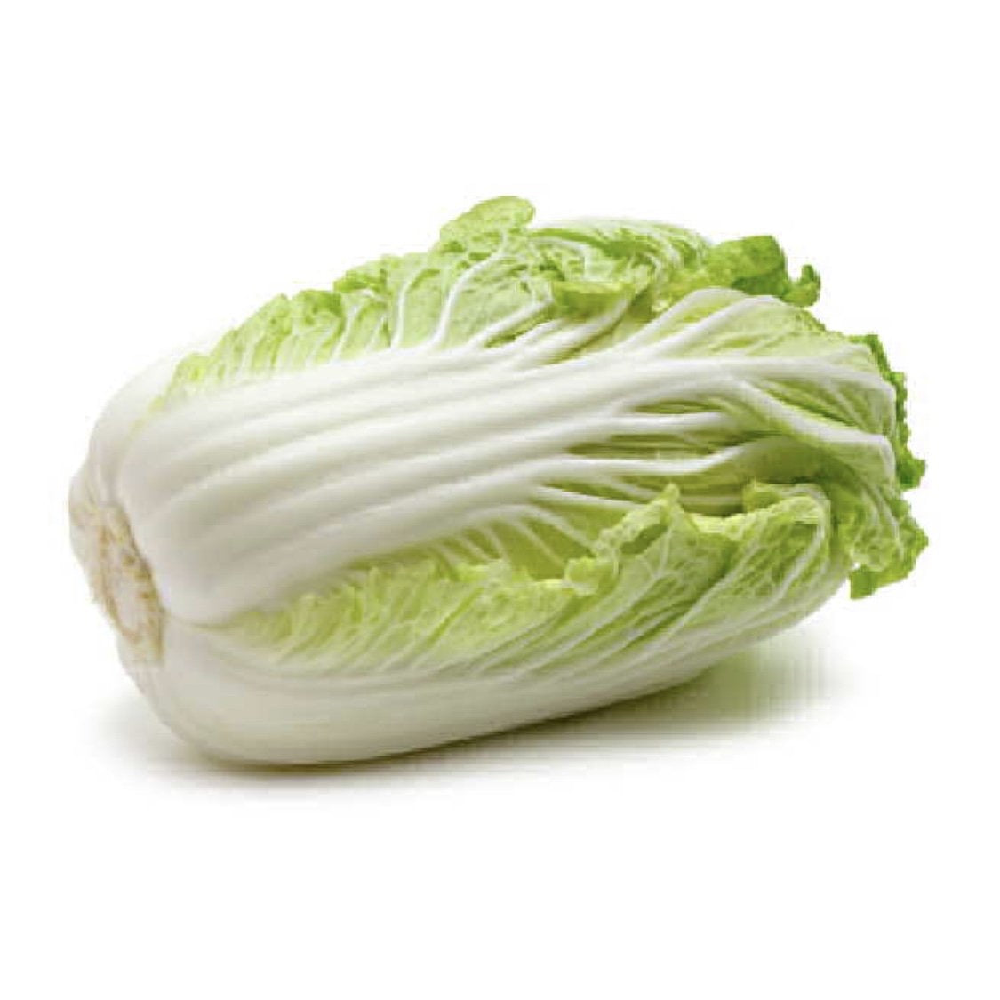 Cabbage Wombok