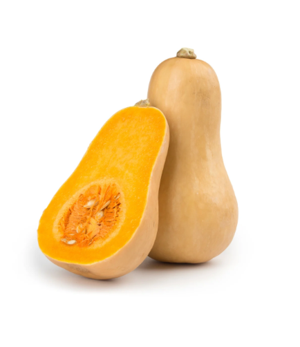 Pumpkin - Butternut