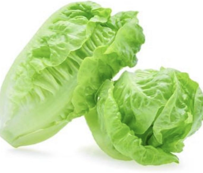 Cos Lettuce Bunch